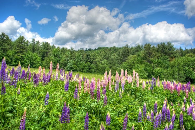 funeral home near me 603Cremations.com