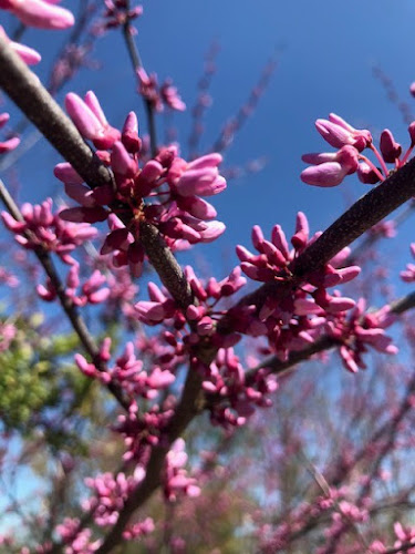 funeral home near me Coats Funeral Home & Crematory