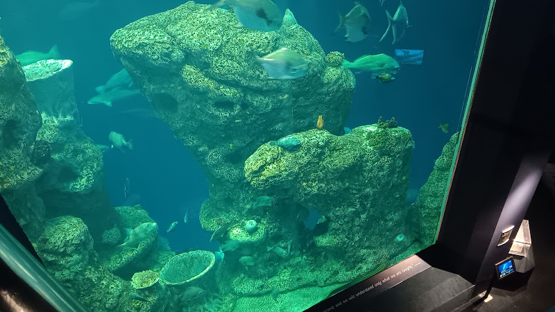 funeral home near me King's Funeral Home