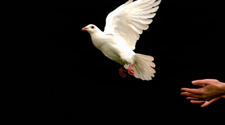 funeral home near me Mile High Funeral & Cremation Services