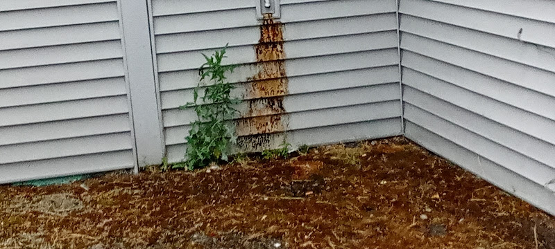 funeral home near me Personal Alternative Funeral Services