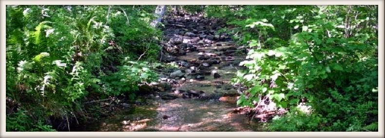 funeral home near me Ross Funeral Home